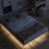 Queen Size Floating Bed with LED Lights Underneath,Modern Queen Size Low Profile Platform Bed with LED Lights,Grey